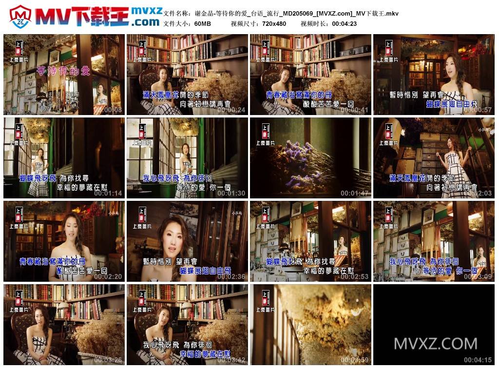 谢金晶-等待你的爱_台语_流行_MD205069